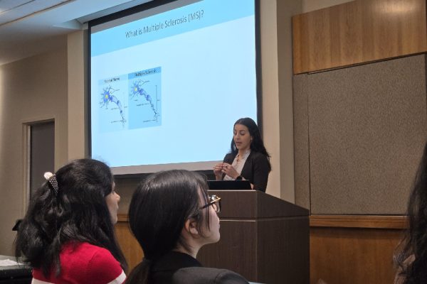 Doriana giving a talk