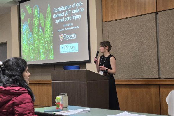 Natalie giving a talk